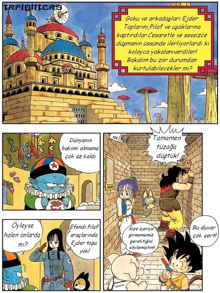 Sayfa 1