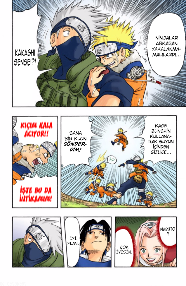Sayfa 17
